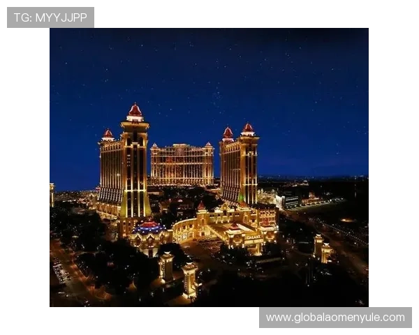 澳门的娱乐场：探索多样化的娱乐项目与高端服务体验