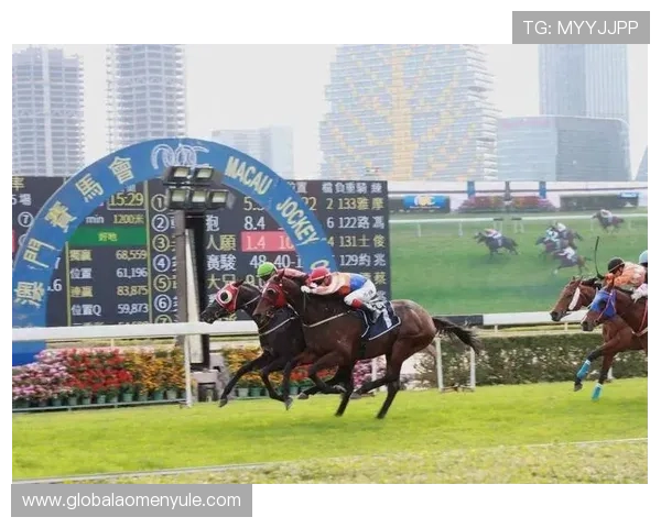 澳门赛马会在推动澳门社会公益事业中的责任与贡献分析