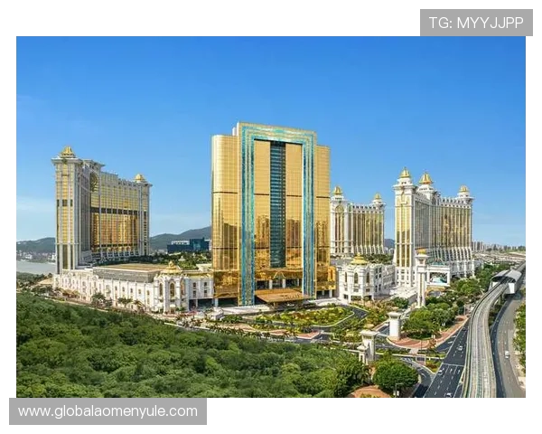 澳门银河app注册流程详解，快速注册开启尊贵会员体验之旅