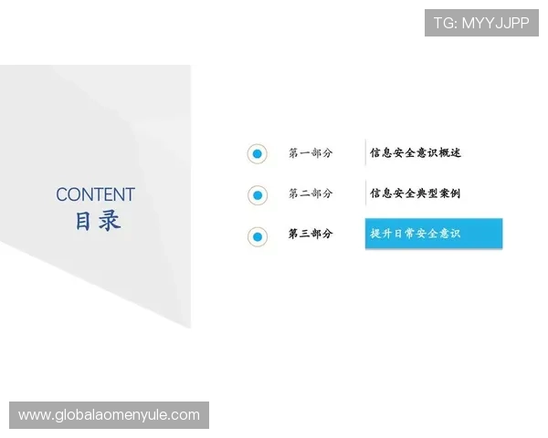 mg视讯中心的安全保障措施全面升级，保障每一位玩家的资金与信息安全