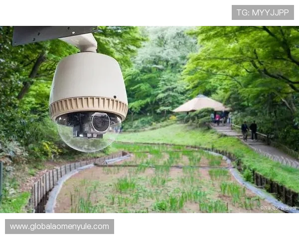 十六铺娱乐场安全保障措施解析：保障游客安全的多项设施和管理措施