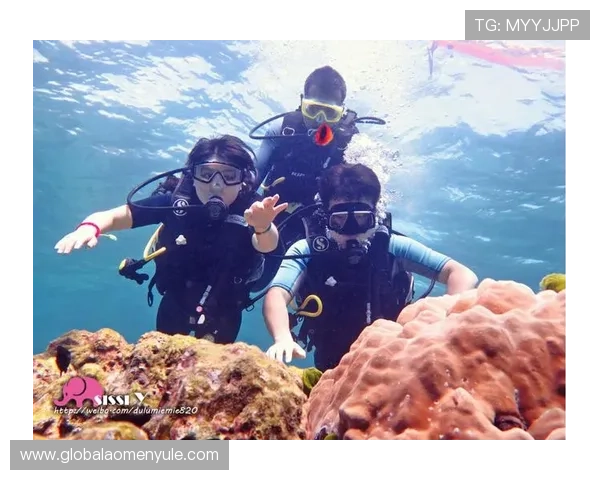 新濠国际集团多元化发展战略：从博彩到度假村的全方位布局